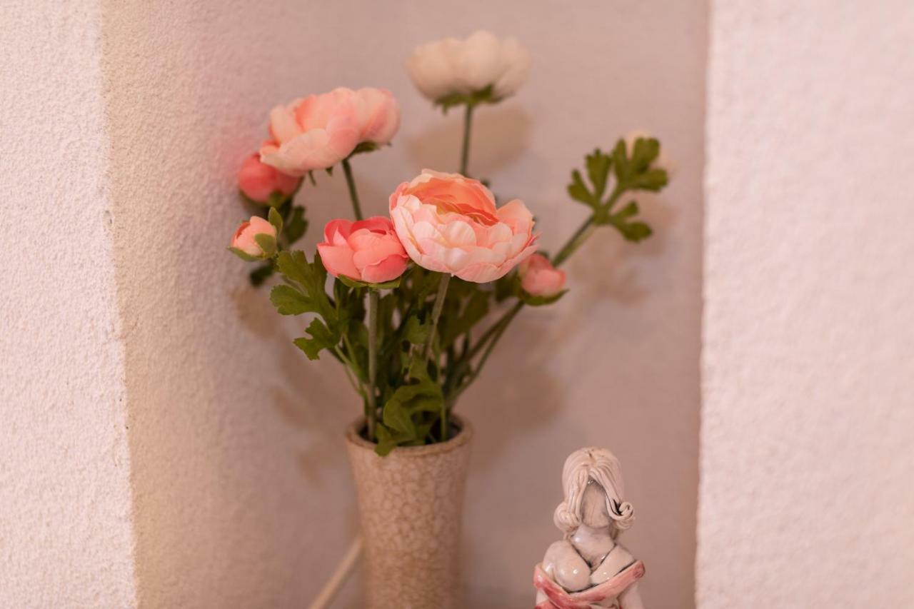 Apartman Verbenia ヴルブニク エクステリア 写真